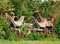 Discover South Sulawesi